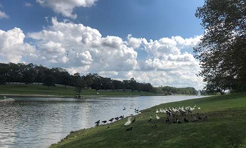 Maysville Mason County Recreation Park